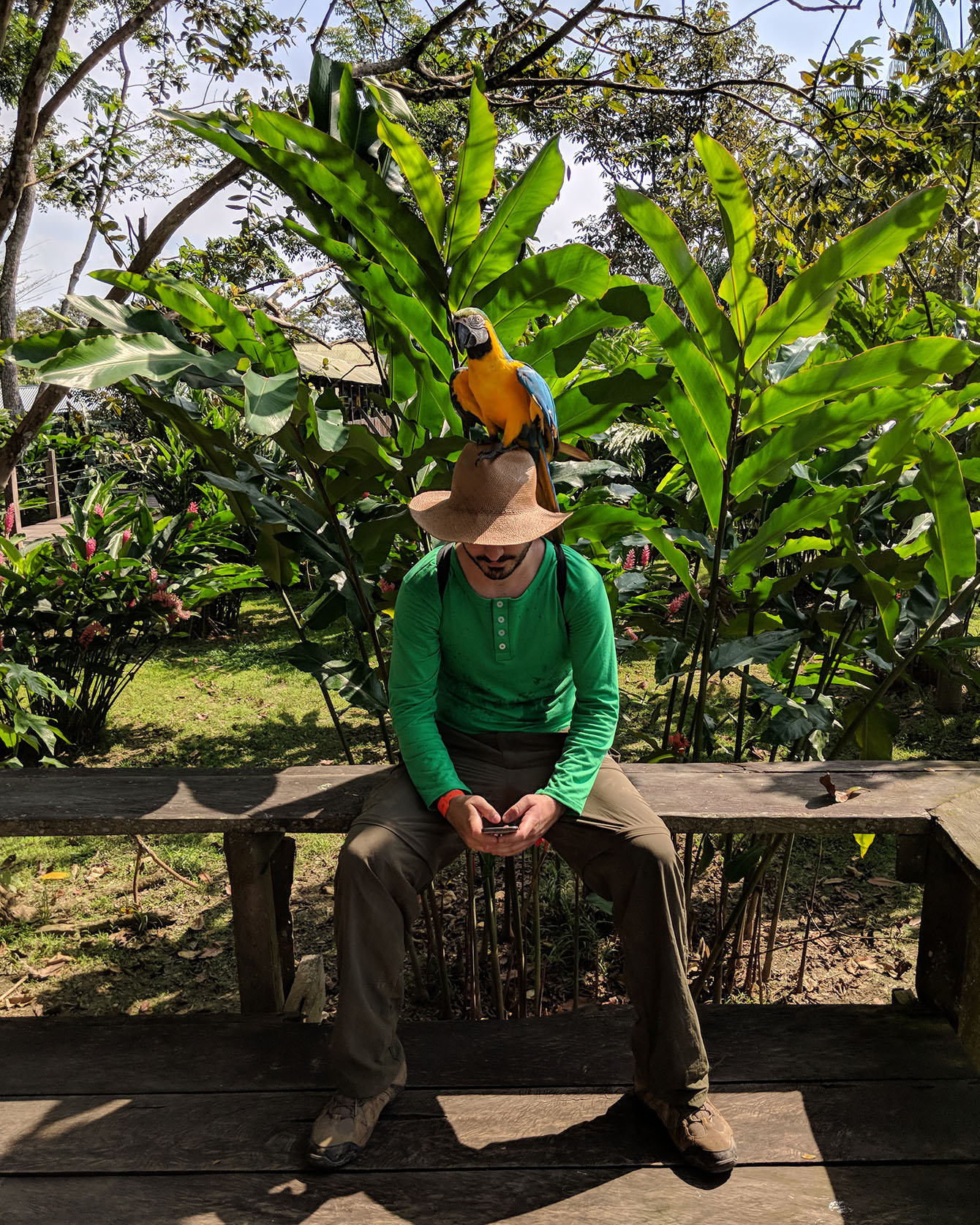 Team Member Dionysis Toumazis