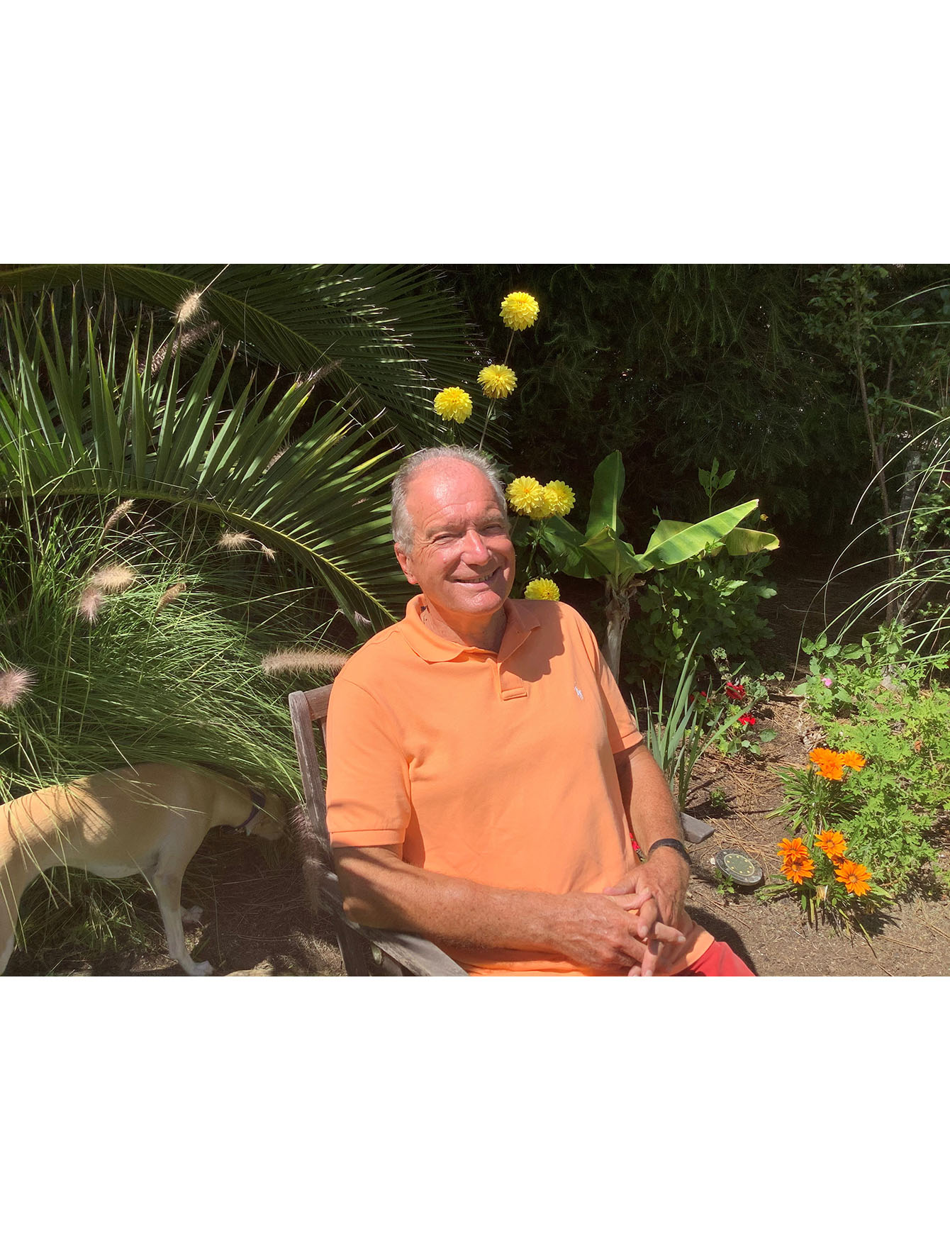 Team Member Paul Preston